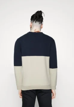 Pier One Sweatshirt - Blue/Grey -Boutique mote herrebutikk e8e4fa1aa32f4185adbdad5b08b3d97c scaled